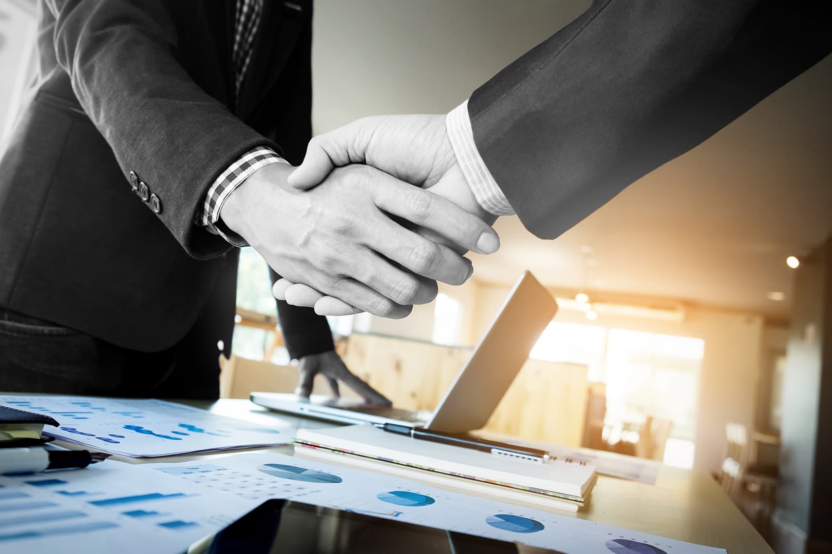 Business partners shaking hands
