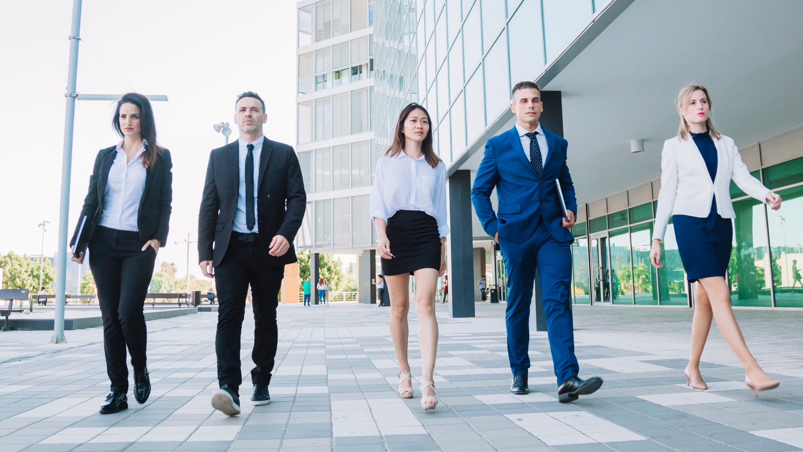 Accounting professionals working together